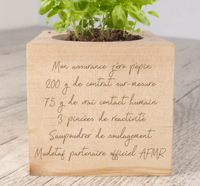 Eco cubes Mudetaf